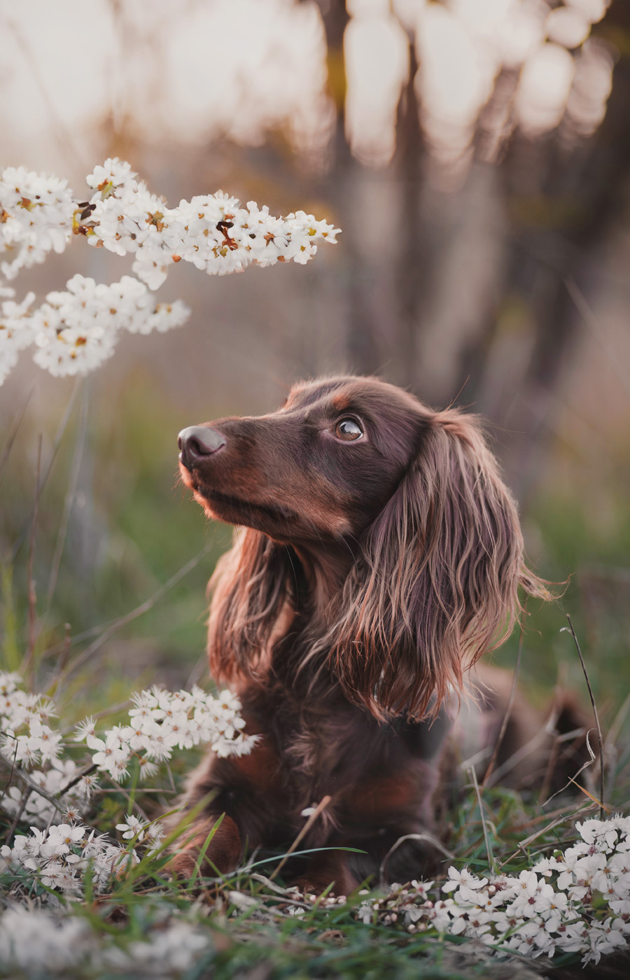 Manon Knasko Photographies